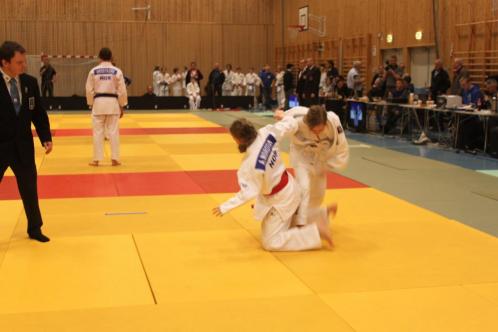 Klikk p� bilde for full storleik