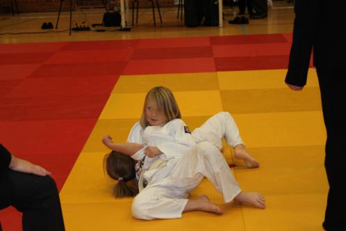 Klikk p� bilde for full storleik