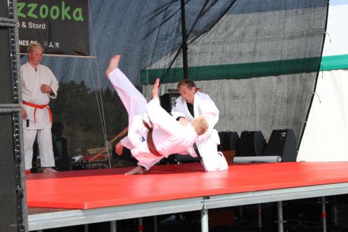 Klikk p� bilde for full storleik