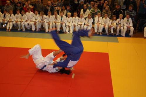 Klikk p� bilde for full storleik