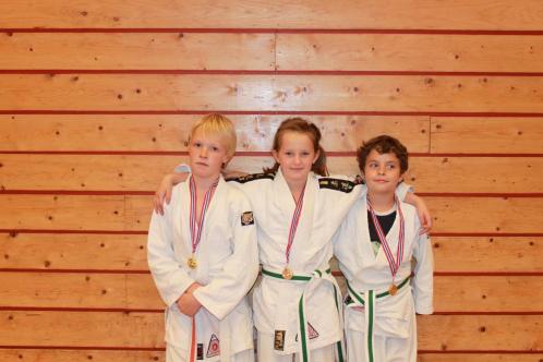 Klikk p� bilde for full storleik